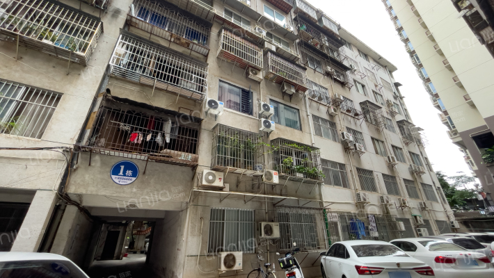 广西广播电影电视局第二宿舍宿舍外景图