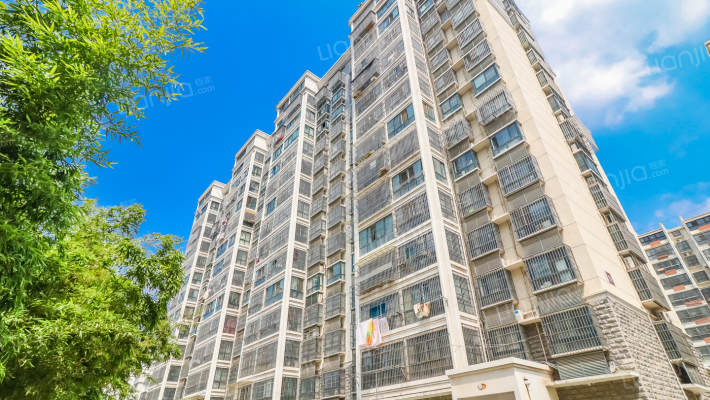 东方明珠外景图