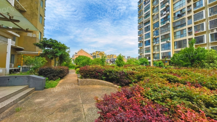 水清木华外景图