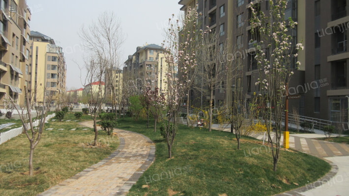 鑫苑名家外景图