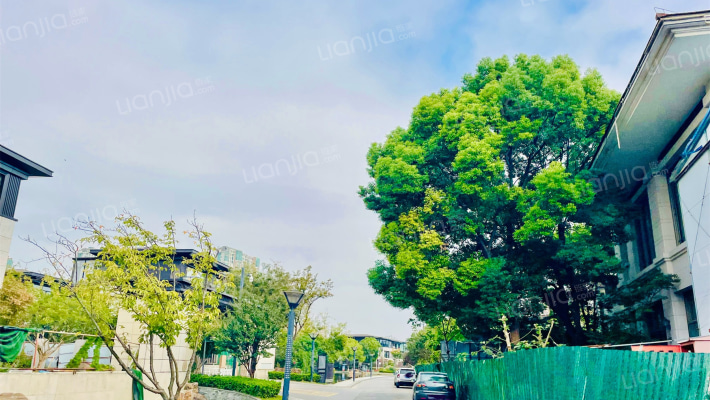 金科蠡湖外景图