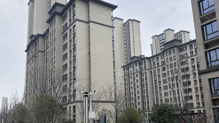 金科云湖春晓外景图