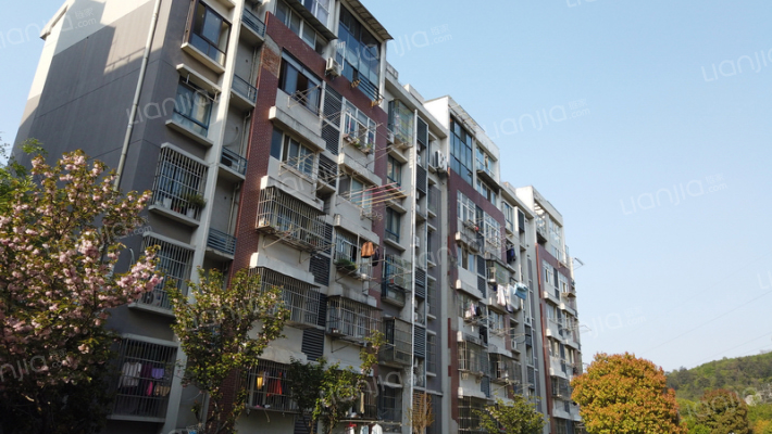 银杏山庄外景图