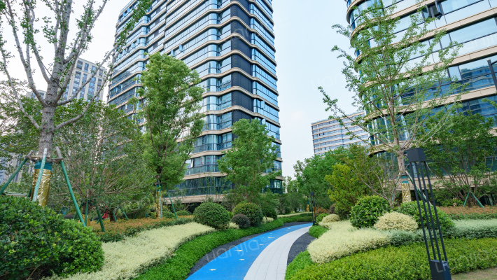 金昌香湖印月外景图