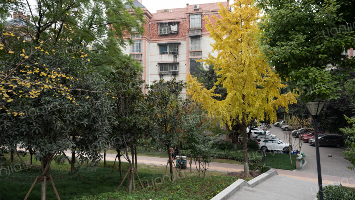 华龙苑小区外景图