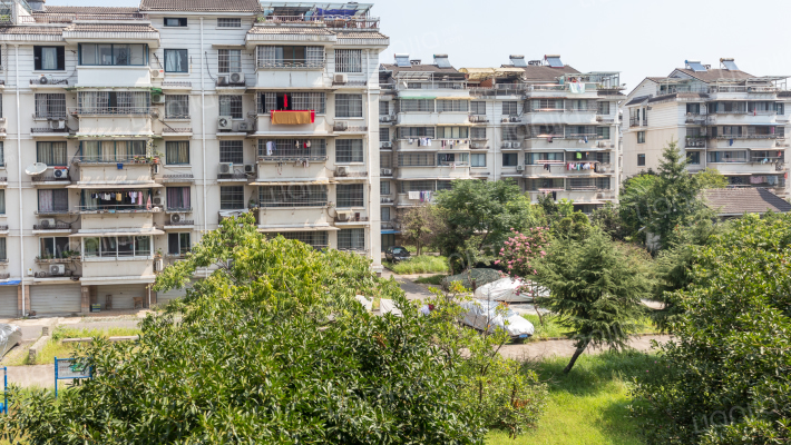 南江枫林东区外景图