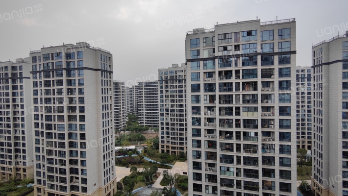 结网嘉苑东区外景图