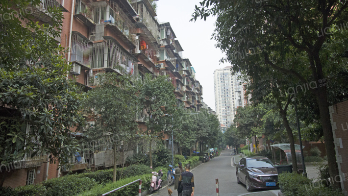 金竹苑4区外景图