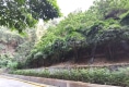 南山公馆二期13