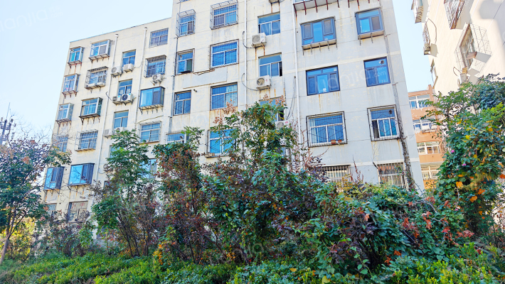 温泉东区南外景图