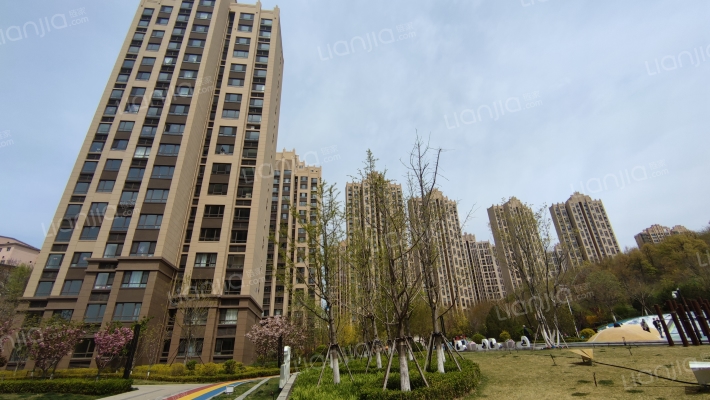 大华锦绣华城九期外景图