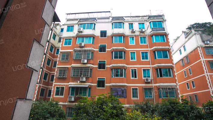 滨江新村外景图