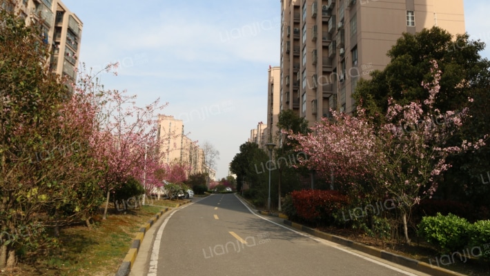 馨塘新村外景图