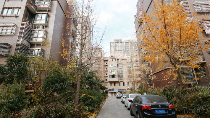 中联壹城壹城红莲外景图