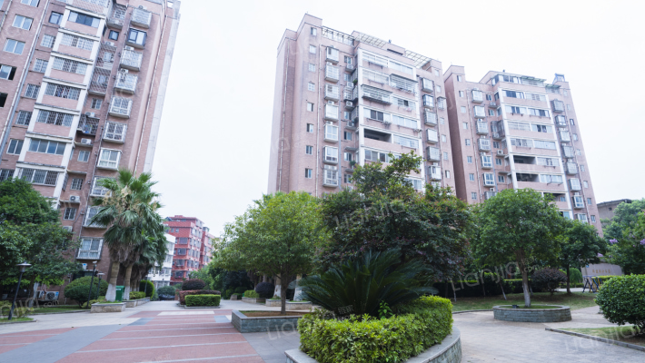 南湖雅苑外景图