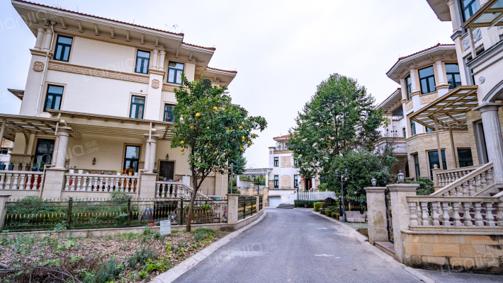 新宇花园外景图