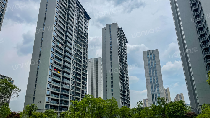 坤和融创开元望金沙外景图