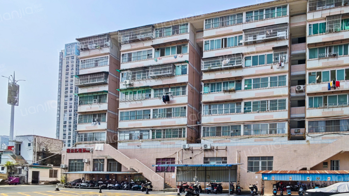 桂西公路管理局外景图