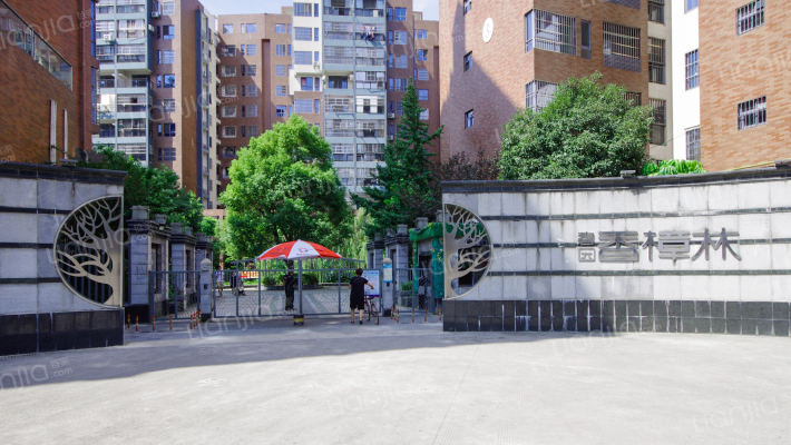 碧园香樟林外景图