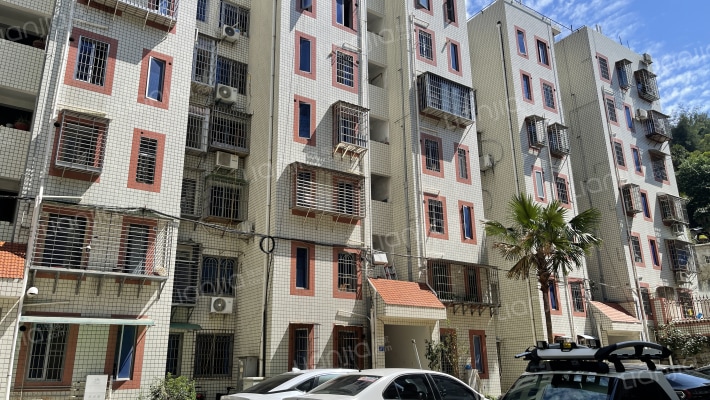 东坪山路外景图