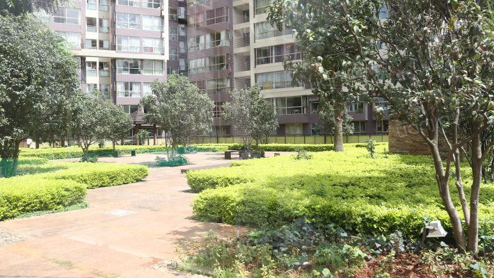 摩玛艺术造城二期外景图