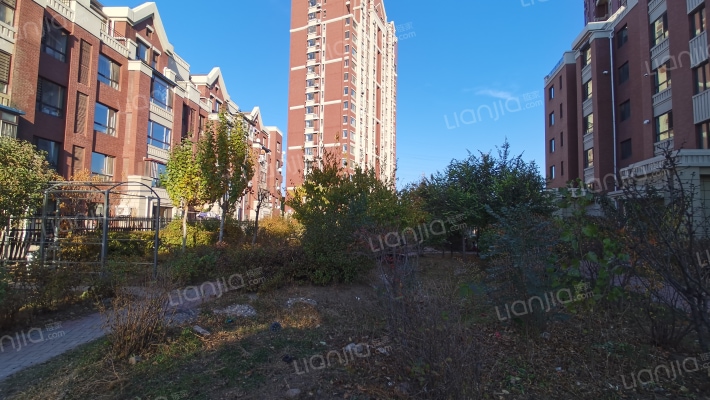 富海茗乔外景图