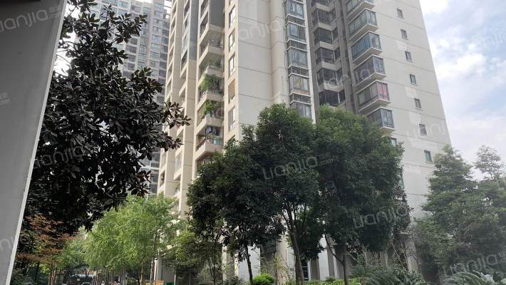 隆鑫国际外景图