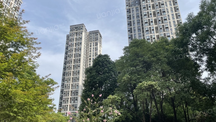 万科金色城品外景图