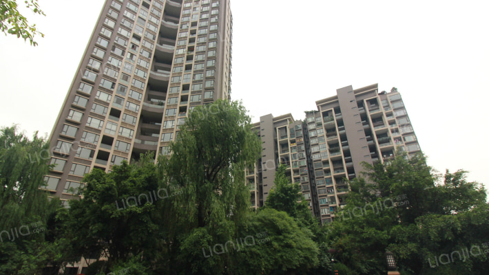 春天大道外景图