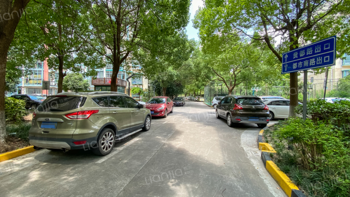 今天花园外景图