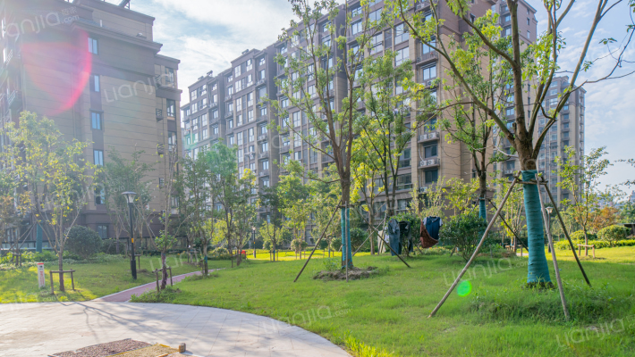 红星嘉苑外景图