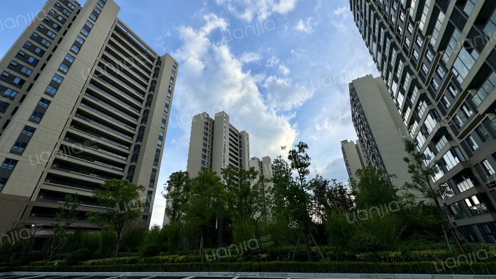 湖境天著外景图