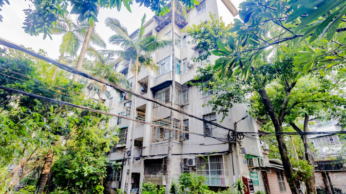 珠影大院外景图