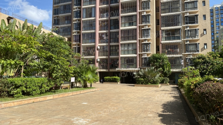 椰子郎花园外景图