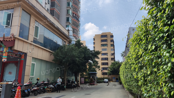 展兴龙华豪居外景图