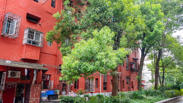 曙光小区外景图