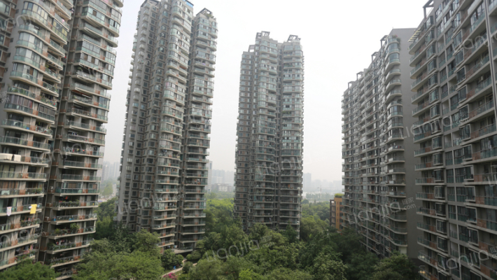 育才竹岛外景图