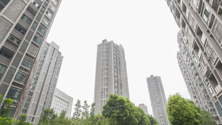 望湖嘉苑外景图