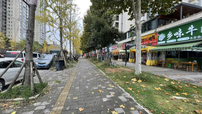 龙湖景粼天著花千树外景图