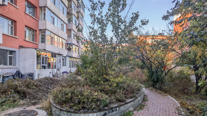 粮食局宿舍外景图