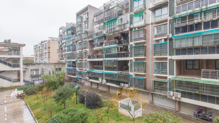 城中嘉苑外景图