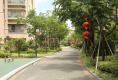 青岛北路小区12
