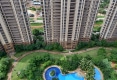 绿地海森林14
