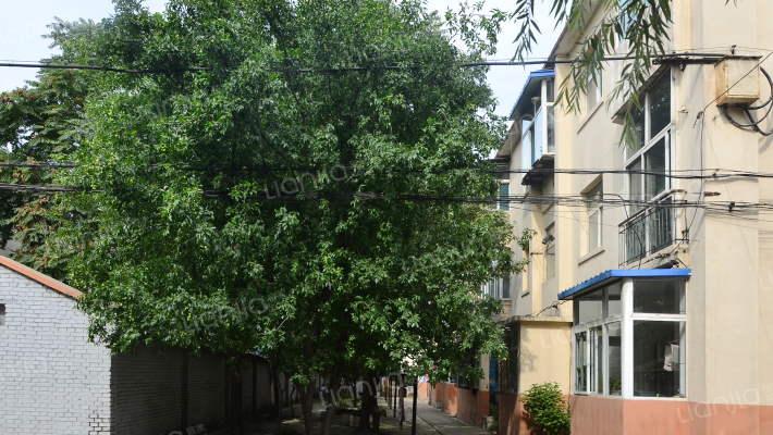 太原工業学院（北区）外景图