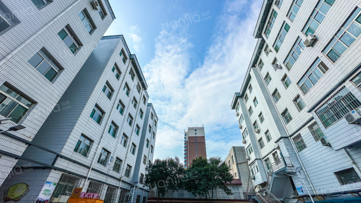 老建委家属院外景图