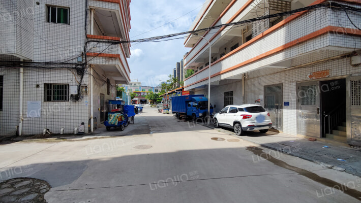 红树林虎头山公园外景图