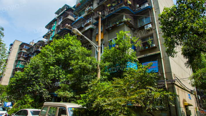 金琴路164号外景图