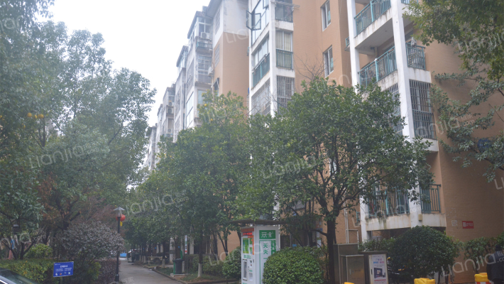 东岸锦城B区外景图