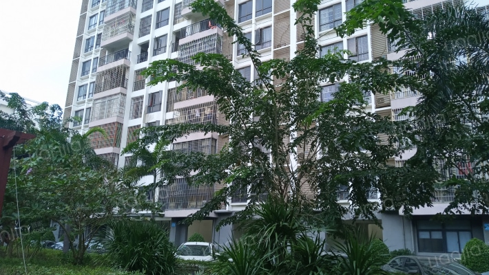 凤凰雅苑外景图