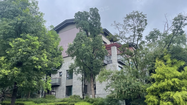 麓湖生态城五彩林堤外景图